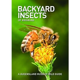 Pocket Guide: Backyard Insects of Brisbane