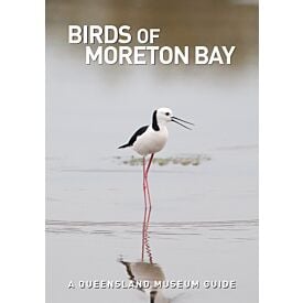 Pocket Guide: Birds of Moreton Bay