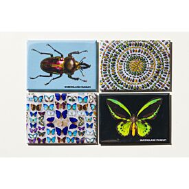 Queensland Museum Insect Magnets 