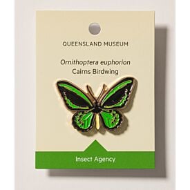 Queensland Museum Insect Collection Enamel Pins 