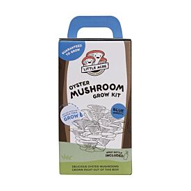 Blue Oyster Mushroom Grow Kit 