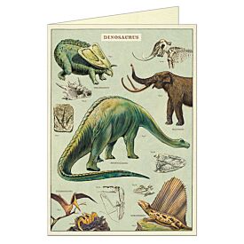 Cavallini Greeting Card – Dinosaurs