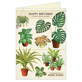 Cavallini Greeting Card – House Plants