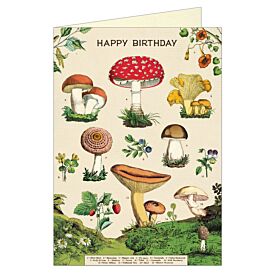 Cavallini Greeting Card – Happy Birthday Forage