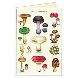 Cavallini Greeting Card – Mushrooms