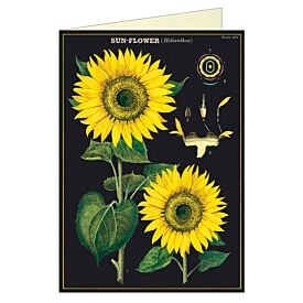Cavallini Greeting Card – Sunflower