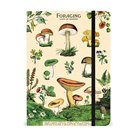 Foraging Notebook 