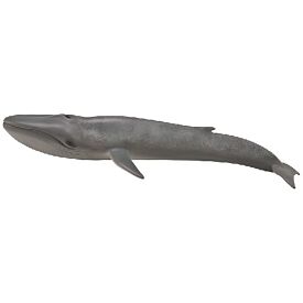Blue Whale CollectA Model