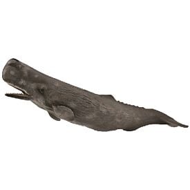 Sperm Whale CollectA Model