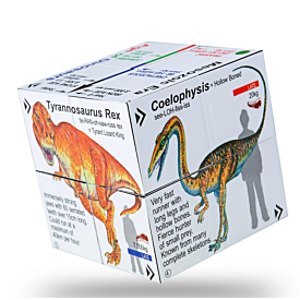 ZoobooKoo Dinosaur Cube Book