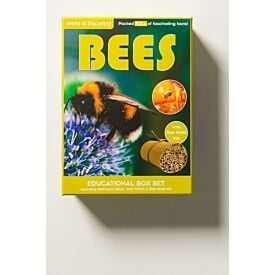 World of Discovery - Bees Educations Box Set 