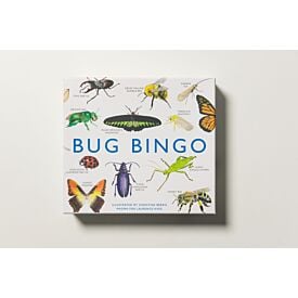 Bug Bingo 