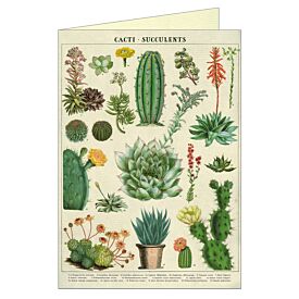 Cavallini Greeting Card – Succulents