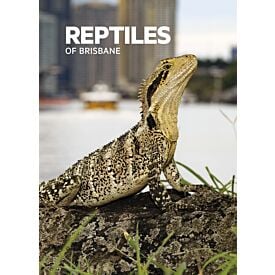 POCKET GUIDE: REPTILES OF BRISBANE