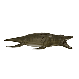 Pliosaurus 1:40 Scale CollectA Model
