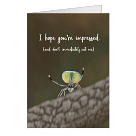 Toothy Grin Greeting Card – Romantic Peacock Spider