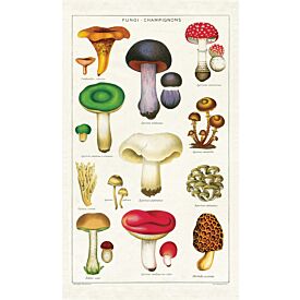 Vintage Mushrooms Tea Towel