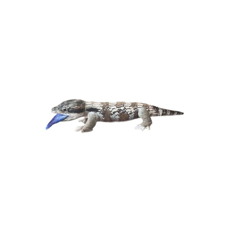JAY BLUE TONGUE LIZARD SKINK Queensland Museum jay-blue-tongue-lizard-skink-queensland-museum